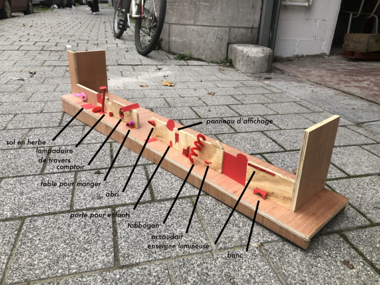 IMG6
