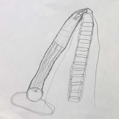 Toboggan